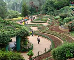 Mahabaleshwar Holiday Package